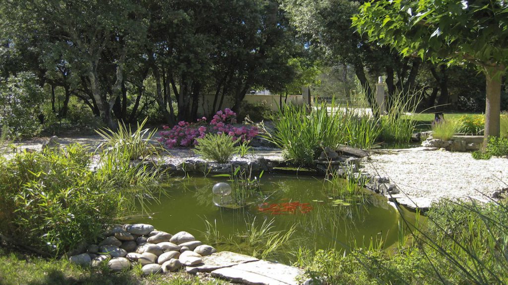 gîte Les Oliviers au Pic Saint-Loup avec piscine