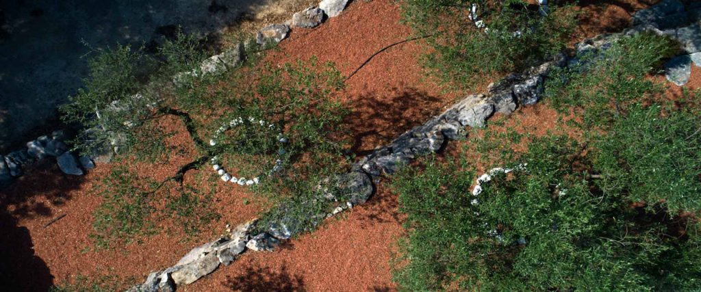 mas-de-cala-jardin-1-web