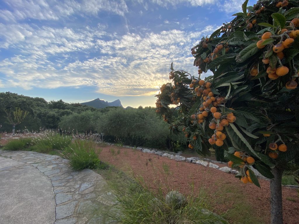 vue-jardin-paysager-masdecala-gites